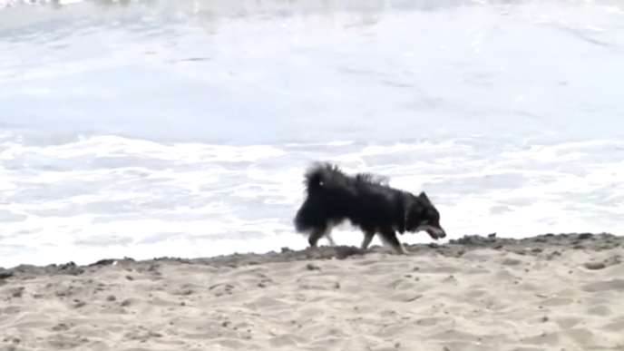 Una Nuova Spiaggia A Ostia Per