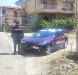 Attacco Del Cane A Terracina