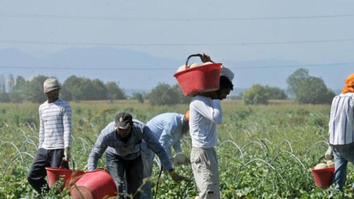 Caporalato nei campi la lotta