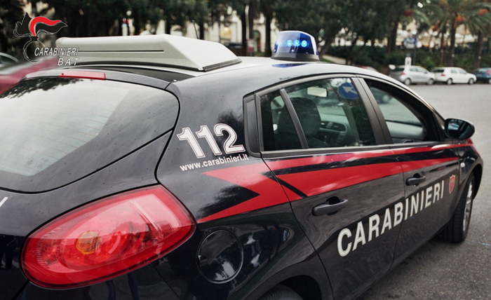 Arrestati Due Uomini Per Viola