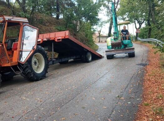 Caduta Di Un Albero A Montefal