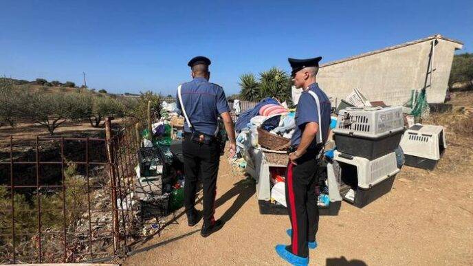 Carabinieri salvano un rottwei