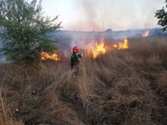 Incendi a Blera quarta eruzio