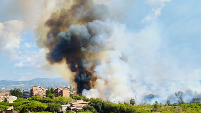 Incendio A Cinecitta Assessor