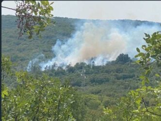 Incendio boschivo a Doberdo de