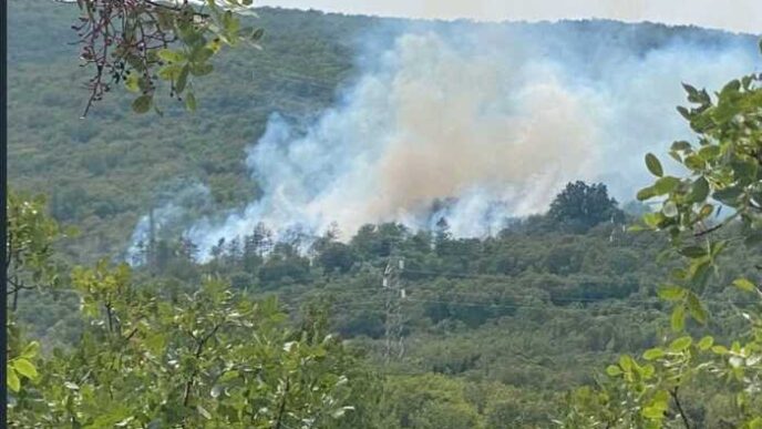 Incendio boschivo a Doberdo de