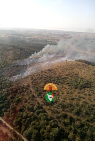 Incendio boschivo sulle collin