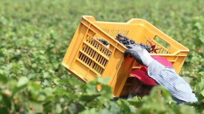 Lavoro irregolare in aumento