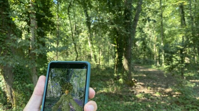 Nuove Esperienze Immersivi Nel