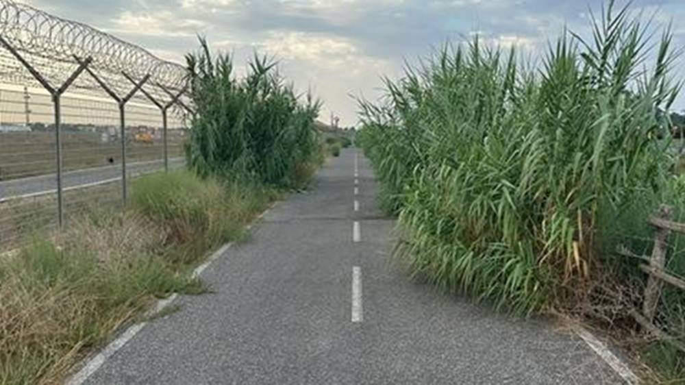 Pista ciclabile di Fiumicino i