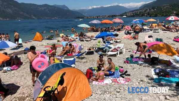 Rissa in spiaggia ad Abbadia L