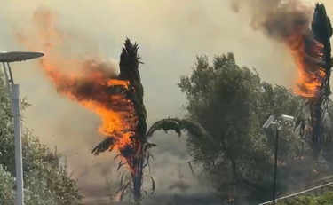 Roma In Emergenza Incendi E Q