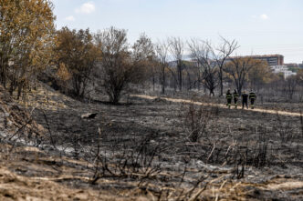 Roma maxi incendio di sterpag