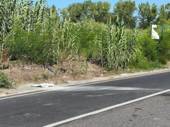 Tragedia ad Occhiobello giova