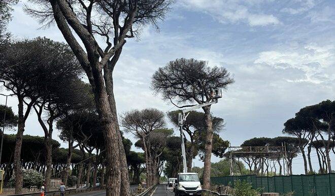 via del mare incidente