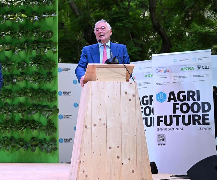 Agrifood Future 2024 Focus Su