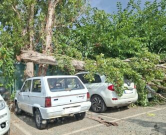 Albero Cade Su Auto A Torre De