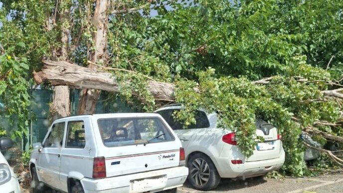 Albero Cade Su Auto A Torre De