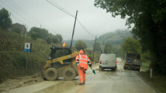 Ancona Istituisce Una Casella