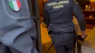 Arresti Domiciliari Violati S