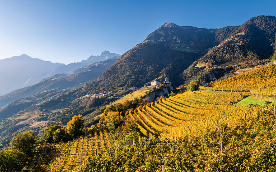 Autunno a Tirolo colori sapo