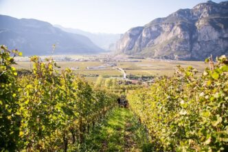 Autunno in Piana Rotaliana Kon