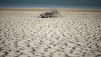 Cambiamenti Climatici La Sicc