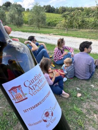 Cantine Aperte in Vendemmia 20