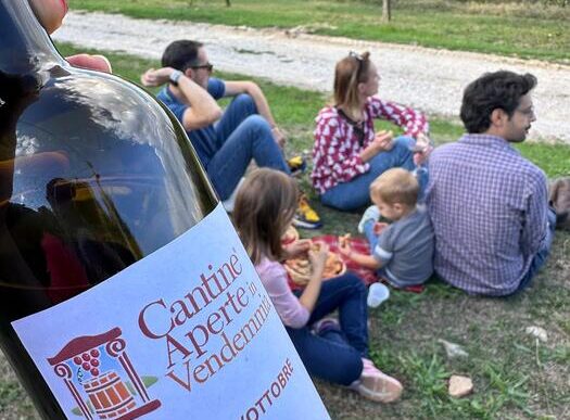 Cantine Aperte in Vendemmia 20