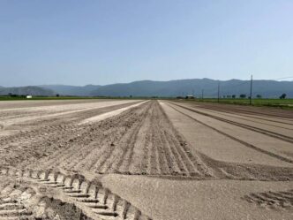 Emergenza Agricoltura Nella Pi