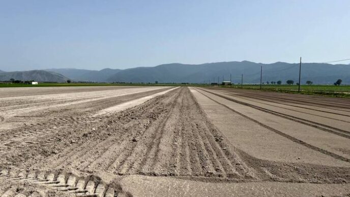 Emergenza Agricoltura Nella Pi