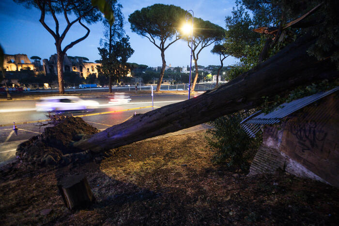 Emergenza Maltempo A Roma Int