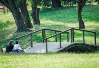 Emilia Romagna in verde al vi