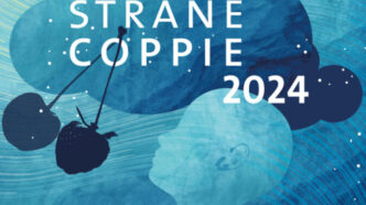 Festival Strane Coppie Al V