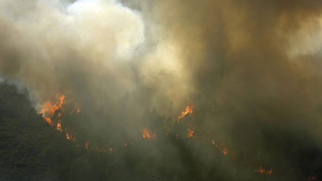 Funerali Dei Vigili Del Fuoco