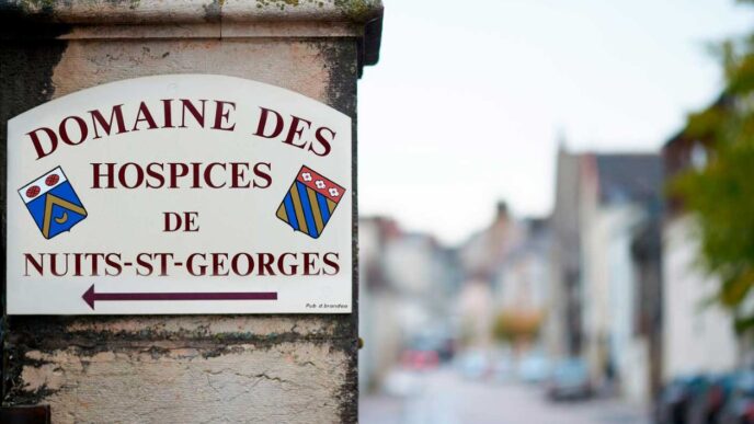 Gli Hospices de Nuits Saint Ge