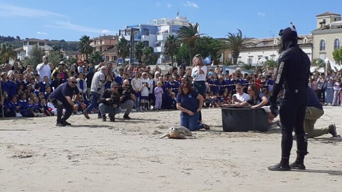 Grottammare Emozione E Solida