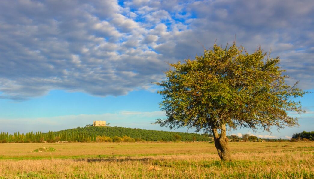 Il Parco Dellalta Murgia Si F