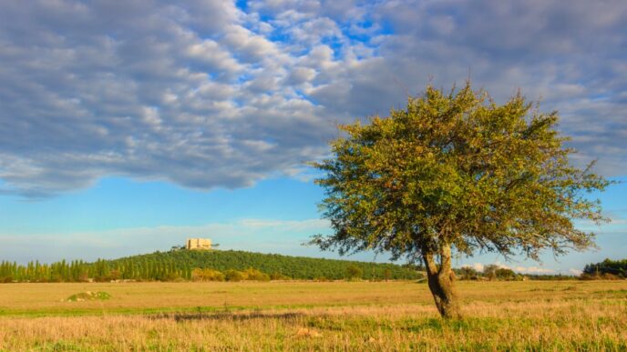 Il Parco dellAlta Murgia si f