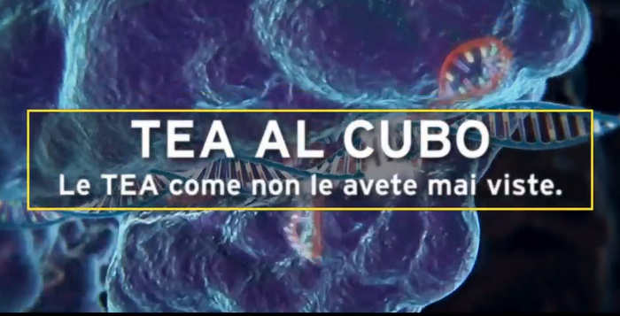 “Tea Al Cubo” in mostra al G7 Agricoltura a Siracusa #adessonews