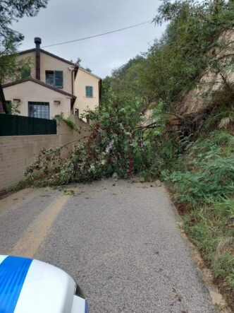 Intense Precipitazioni Causano