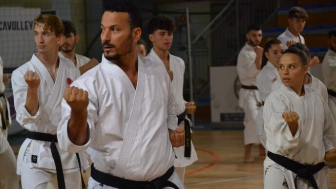 La Revolution Karate Di Cervet