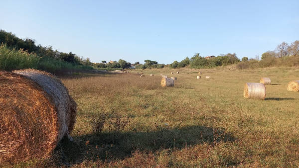 La Festa Della Natura Uniniz