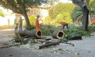 Labbattimento Di Oltre 200 Al