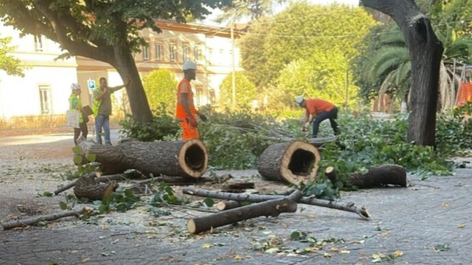 Labbattimento Di Oltre 200 Al