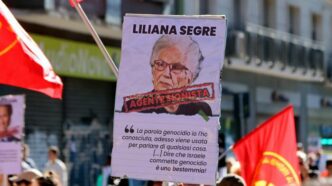 Milano Manifestazione Pro Pal 1