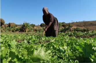 Mozambico Il Progetto Del Pia