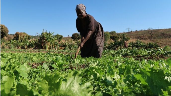 Mozambico il progetto del Pia