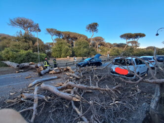 Paura A Castel Fusano Un Pino