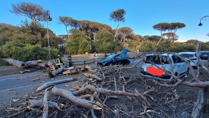 Paura A Castel Fusano Un Pino